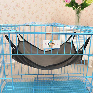 Pet Cat Hammock