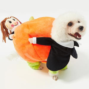 Pet Dog Cat Carrying Pumpkin Halloween Party Fancy Costume Jacket Apparel