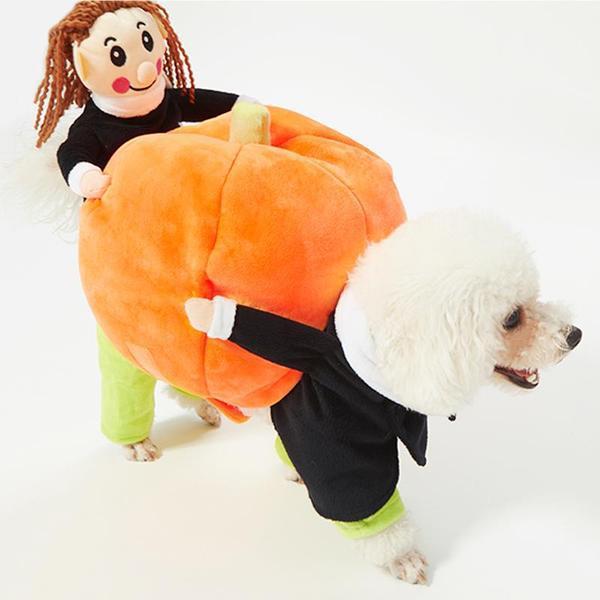 Pet Dog Cat Carrying Pumpkin Halloween Party Fancy Costume Jacket Apparel