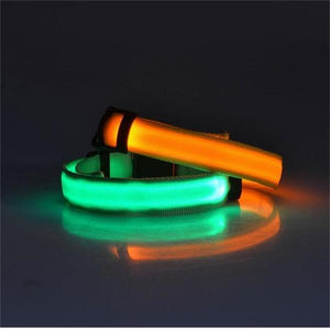 LED Glowing Dog Collar