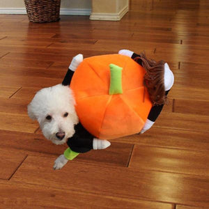 Pet Dog Cat Carrying Pumpkin Halloween Party Fancy Costume Jacket Apparel
