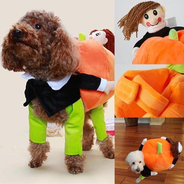 Pet Dog Cat Carrying Pumpkin Halloween Party Fancy Costume Jacket Apparel
