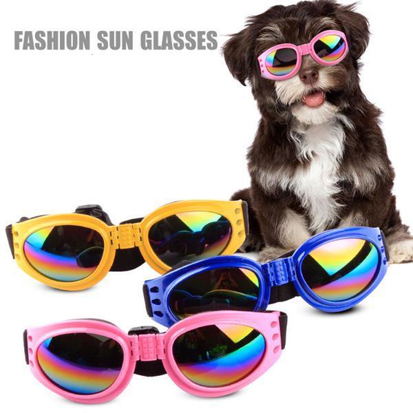 Dog Sunglasses